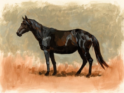 Picture of STANDING HORSE STUDY II
