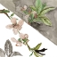 Picture of SUMMER CHERRY BLOSSOM I