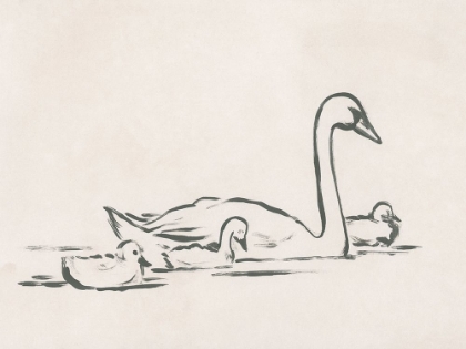 Picture of SWAN SKETCH III