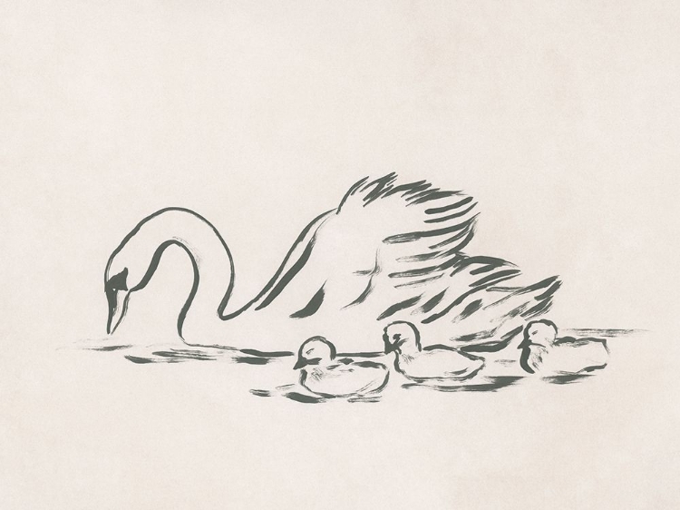 Picture of SWAN SKETCH IV