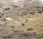 Picture of SWEPT  II