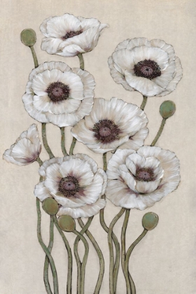Picture of TALL WHITE POPPIES II