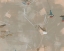 Picture of TERRAZZO TANGLE II