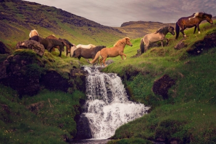 Picture of WATER CROSSING I