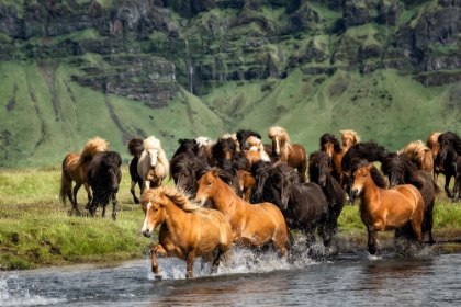 Picture of WATER CROSSING II