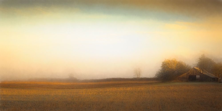 Picture of BARN ON A FOGGY MORNING