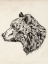 Picture of BEAR INK SKETCH II