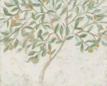 Picture of CITRUS TREE FRESCO I