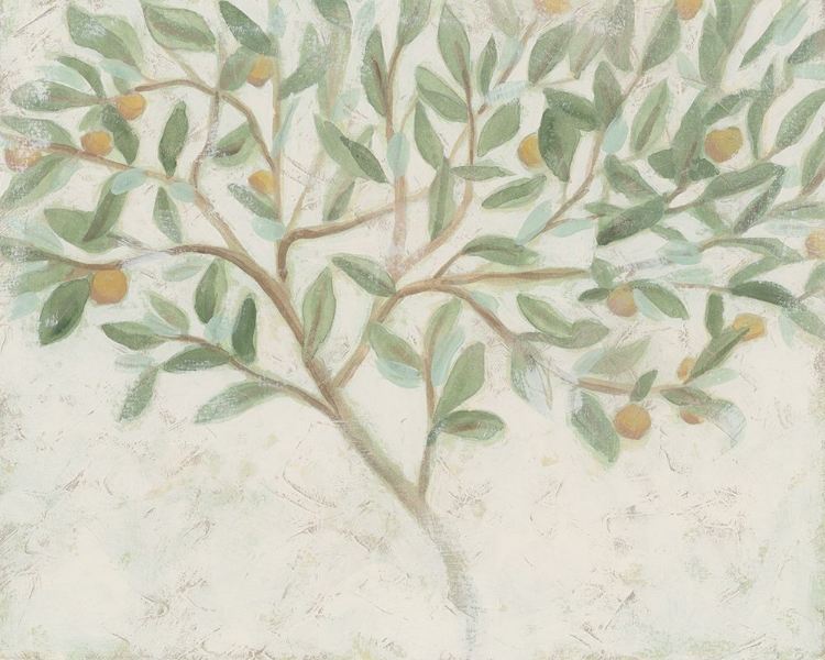 Picture of CITRUS TREE FRESCO II