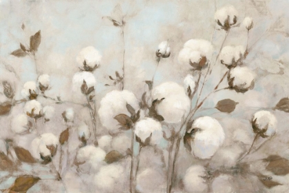 Picture of COTTON FIELD NEUTRAL