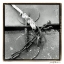 Picture of HEAVY METAL I