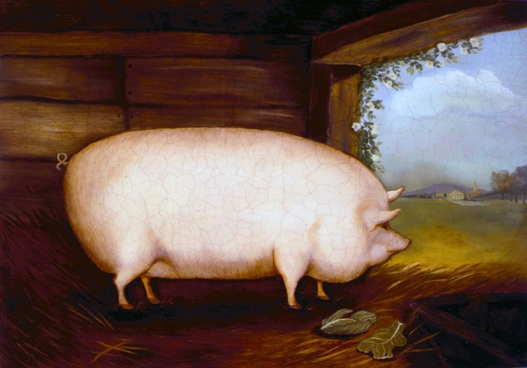 Picture of LARGE WHITE PIG