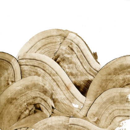 Picture of OVERLAPPING TREE RINGS II
