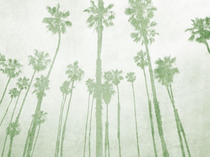 Picture of PALMS ON BEACH II