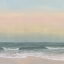 Picture of PASTEL SHORELINE VIEW IV
