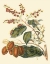 Picture of PRINTED FOLIAGE - FLOWERS AND FRUIT III
