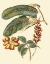Picture of PRINTED FOLIAGE - FLOWERS AND FRUIT IV