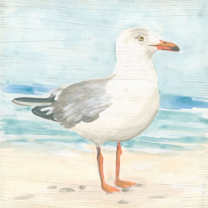 Picture of SEASIDE SEAGULL I