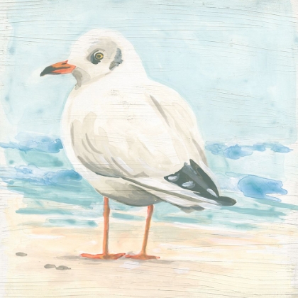 Picture of SEASIDE SEAGULL II