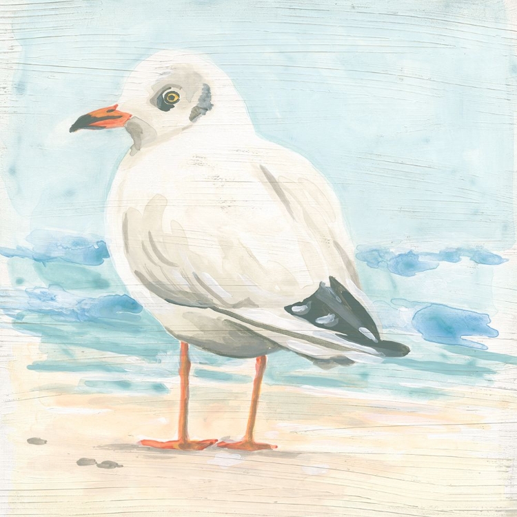 Picture of SEASIDE SEAGULL II