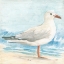 Picture of SEASIDE SEAGULL III