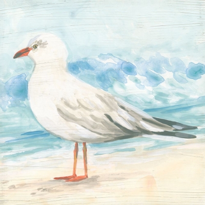 Picture of SEASIDE SEAGULL IV