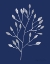Picture of SILHOUETTE OF NATURE IV BLUE