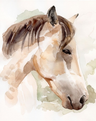 Picture of SOFT HORSE PROFILE I