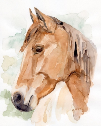 Picture of SOFT HORSE PROFILE II