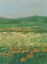 Picture of SUMMER POPPY FIELD I