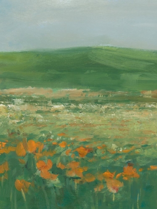 Picture of SUMMER POPPY FIELD II