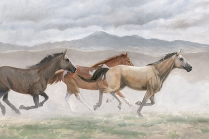 Picture of WILD HORSES