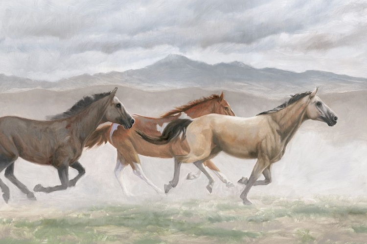 Picture of WILD HORSES