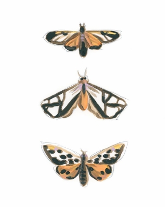 Picture of YELLOW MOTHS I