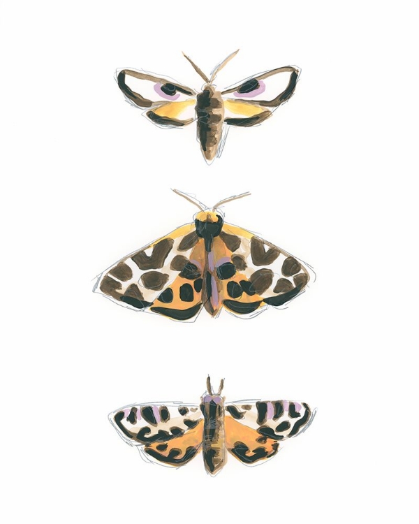 Picture of YELLOW MOTHS II