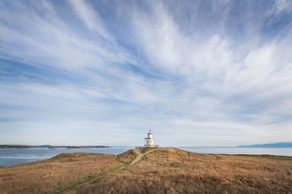 Picture of CATTLE POINT LIGHTHOUSE