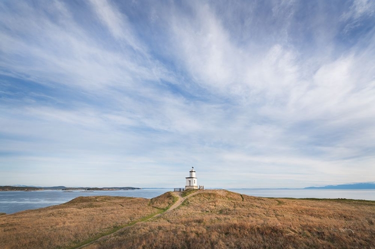 Picture of CATTLE POINT LIGHTHOUSE