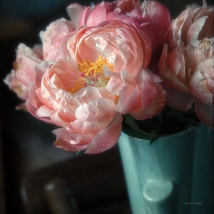 Picture of CORAL PEONIES I