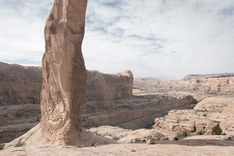 Picture of CORONA ARCH