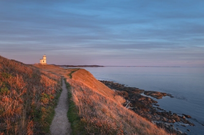 Picture of EVENING LIGHT OVER CATTLE POINT