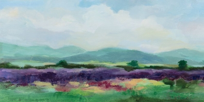 Picture of MAY LAVENDER FIELD I