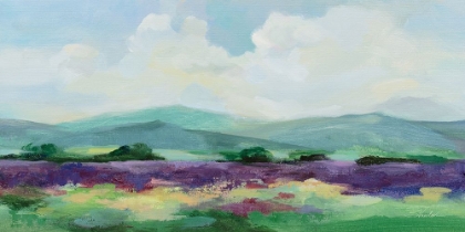 Picture of MAY LAVENDER FIELD II