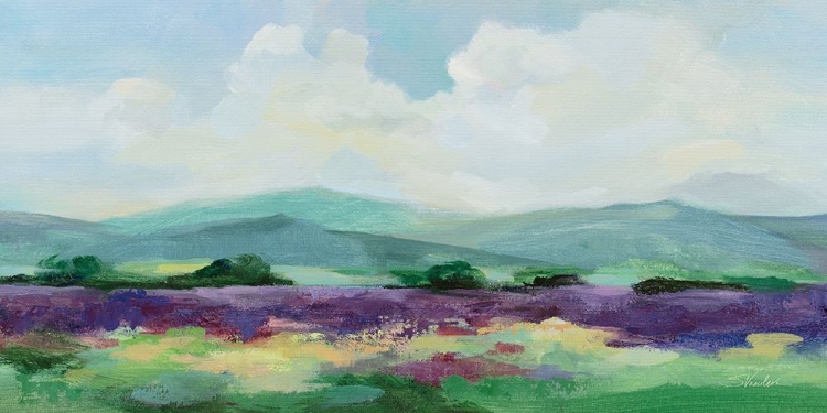 Picture of MAY LAVENDER FIELD II