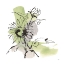 Picture of ORGANIC SUNFLOWER II