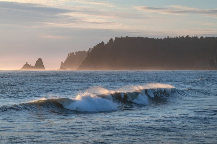 Picture of RIALTO BEACH WAVES