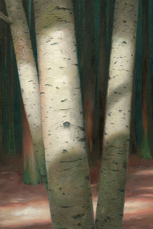 Picture of SUNLIT FOREST I