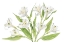 Picture of ALSTROEMERIA