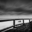 Picture of BY THE SEA 015