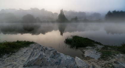 Picture of FOG