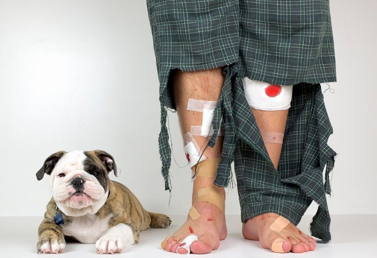 Picture of GET A PUPPY, THEY SAID